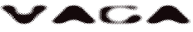 Vaga